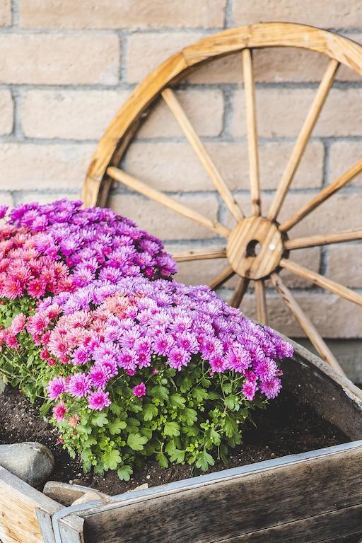 The Stagecoach Inn 살몬 외부 사진